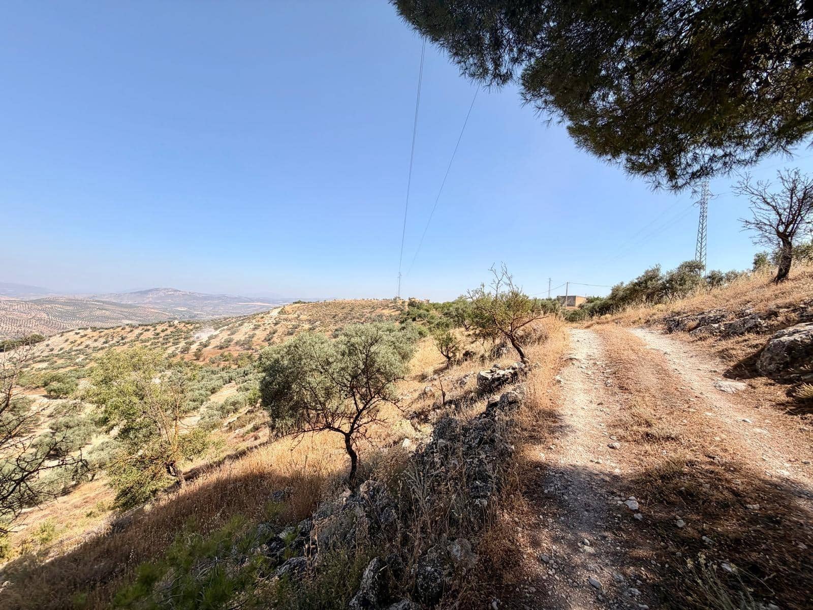 Undeveloped Land for sale in Salar - € 70,000 (Ref: 9945918)
