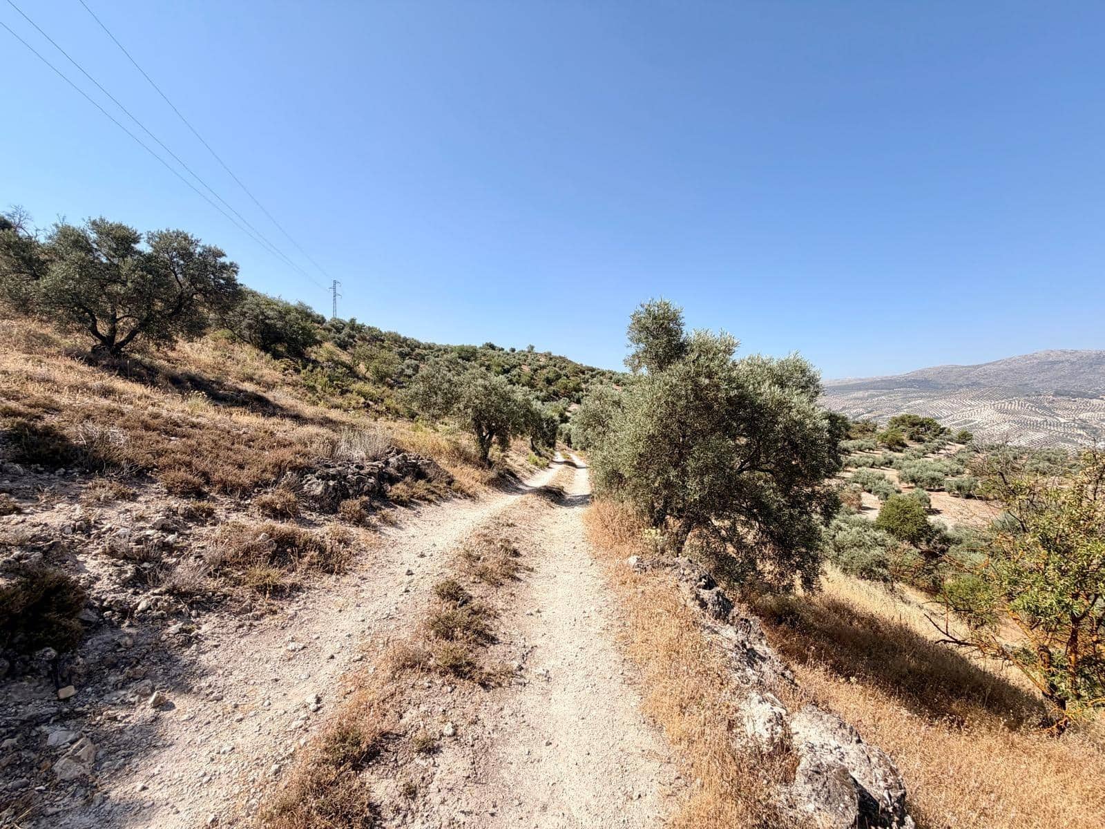 Undeveloped Land for sale in Salar - € 70,000 (Ref: 9945918)
