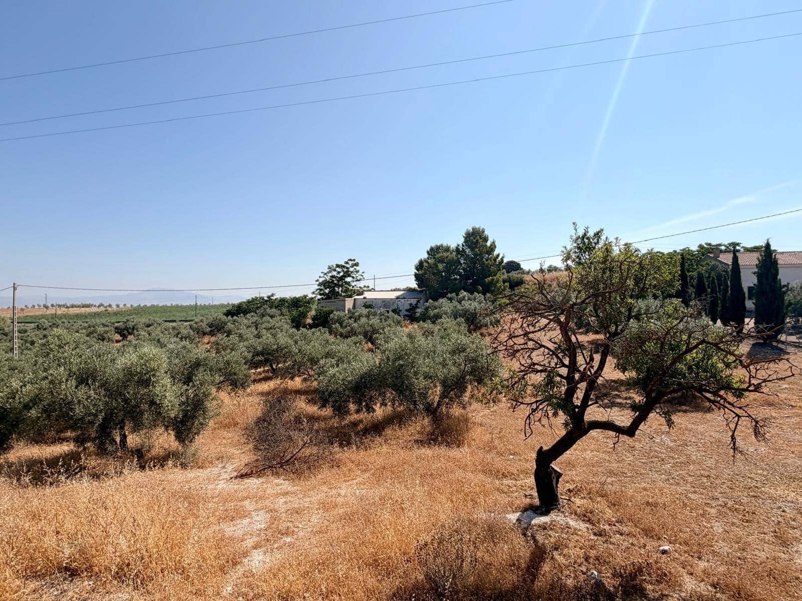Undeveloped Land for sale in Salar - € 70,000 (Ref: 9945918)