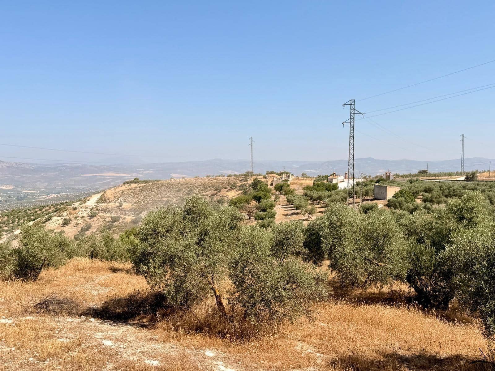 Undeveloped Land for sale in Salar - € 70,000 (Ref: 9945918)