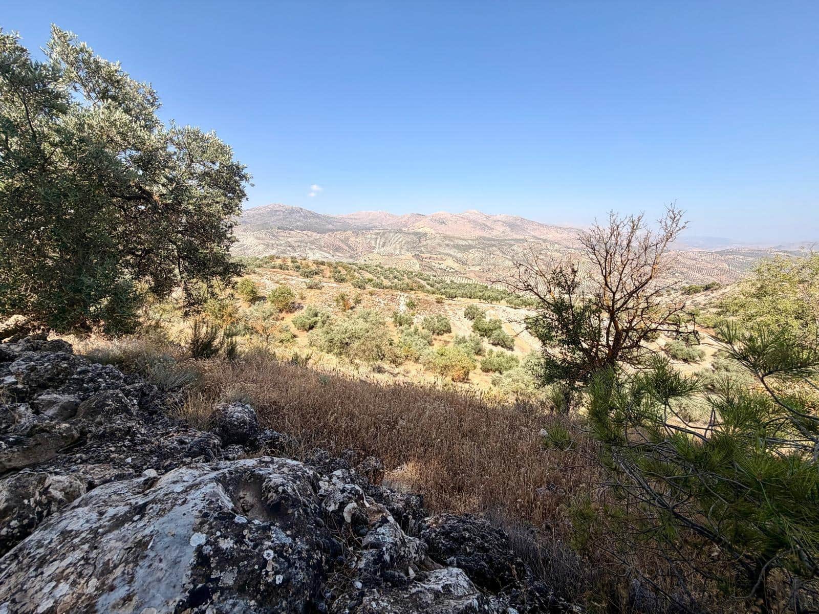 Undeveloped Land for sale in Salar - € 70,000 (Ref: 9945918)