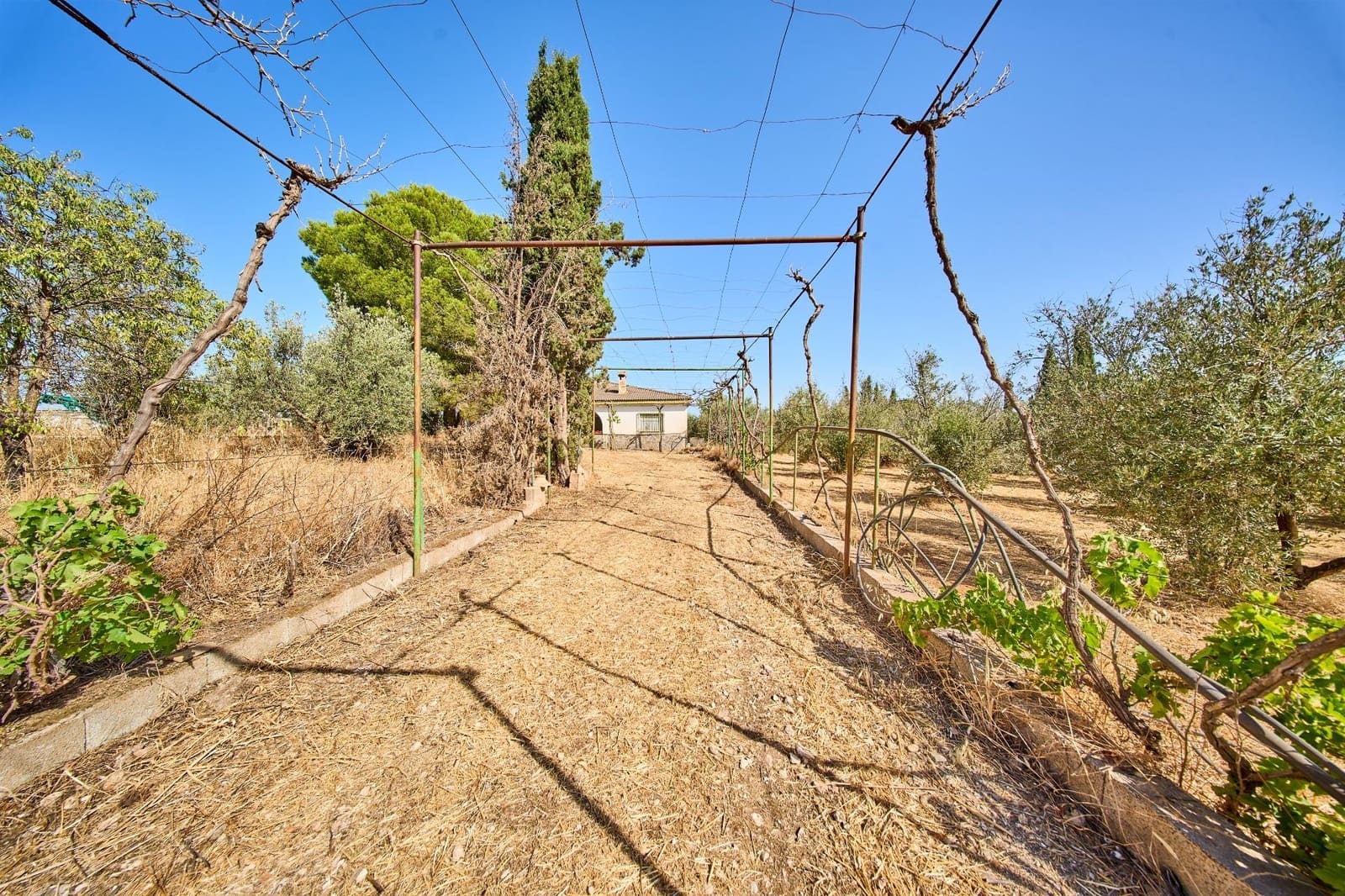5 bedroom Finca/Country House for sale in Moraleda de Zafayona - € 180,000 (Ref: 9975598)