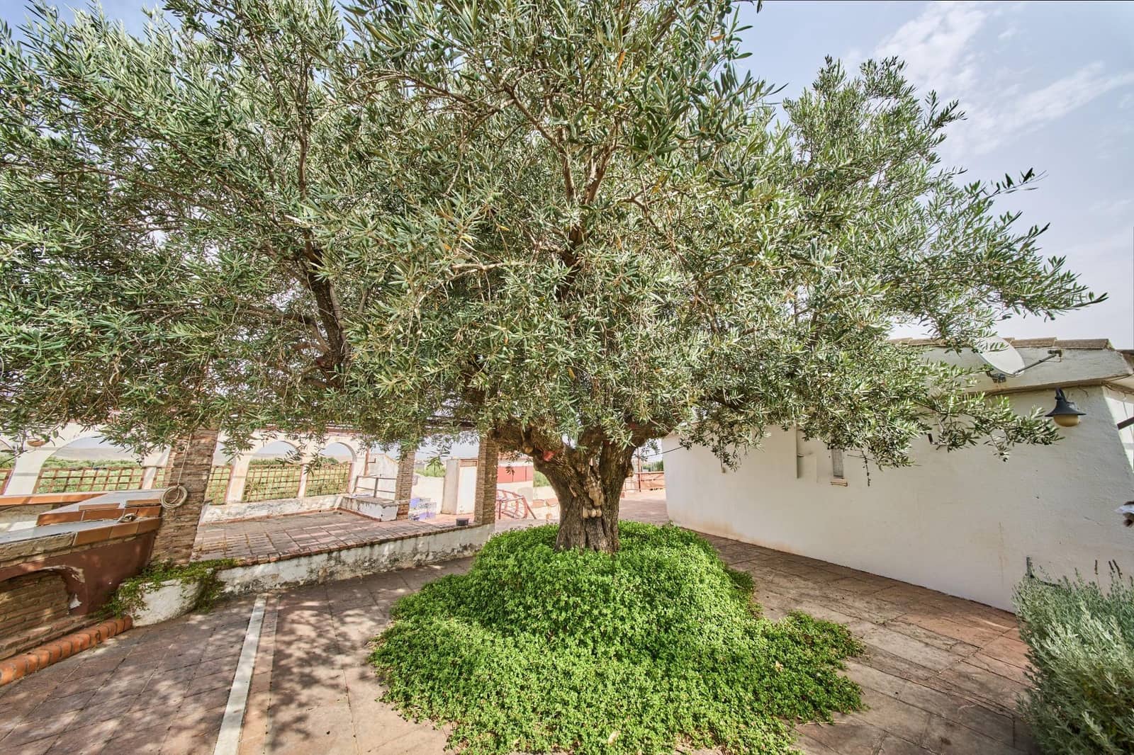 3 soveværelse Finca/Landehus til salg i Otura med swimmingpool - € 550.000 (Ref: 9985127)