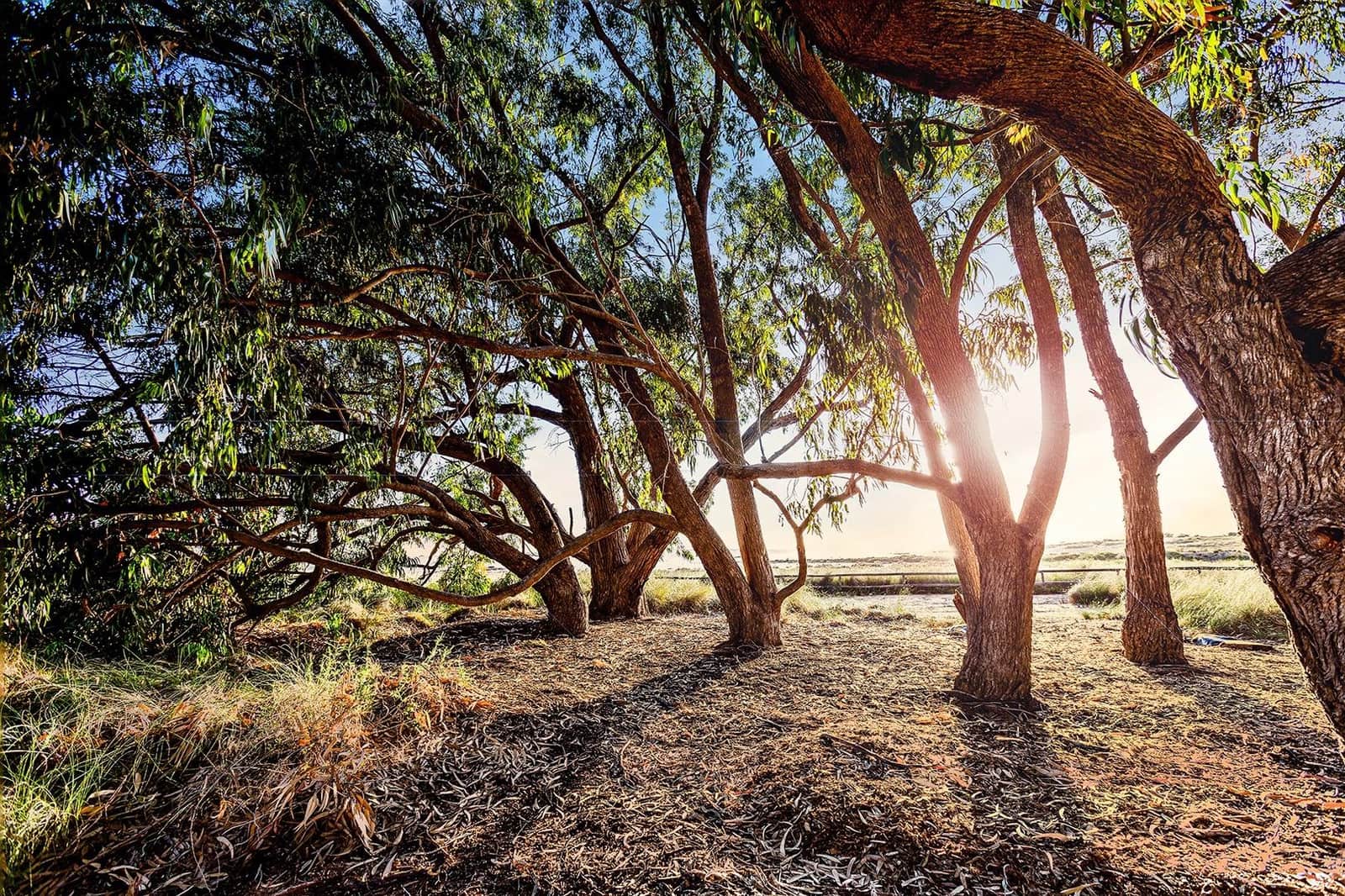 3 soveværelse Rækkehus til salg i Paraje Natural - € 169.900 (Ref: 9282364)