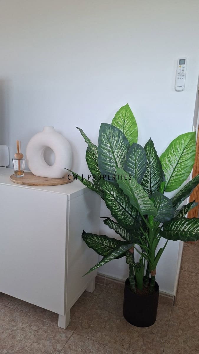 2 camera da letto Appartamento da affittare in Canet d'En Berenguer con piscina garage - 1.400 € (Rif: 10034320)