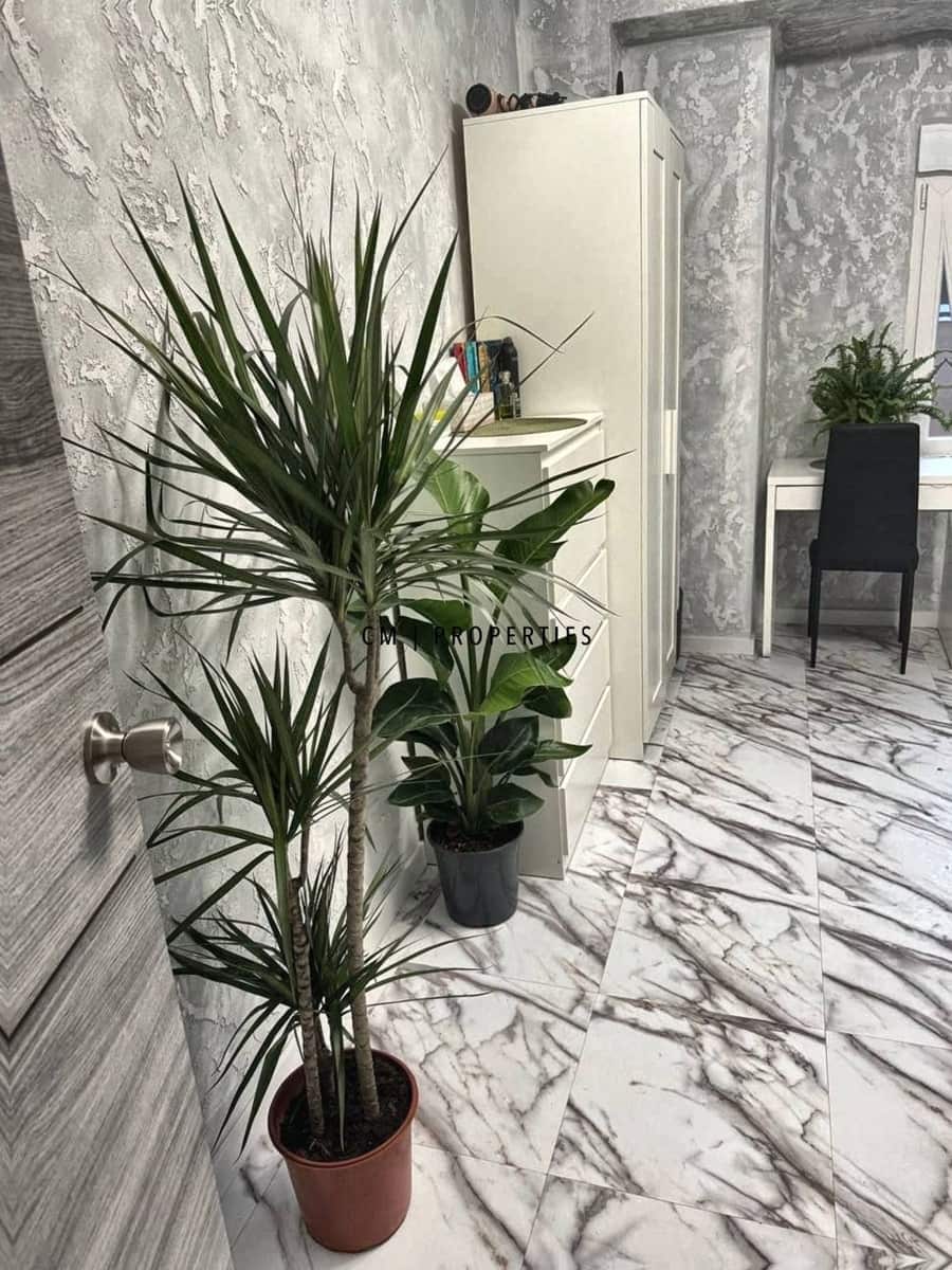 Piso de 5 habitaciones en Mislata en venta - 215.000 € (Ref: 10172931)
