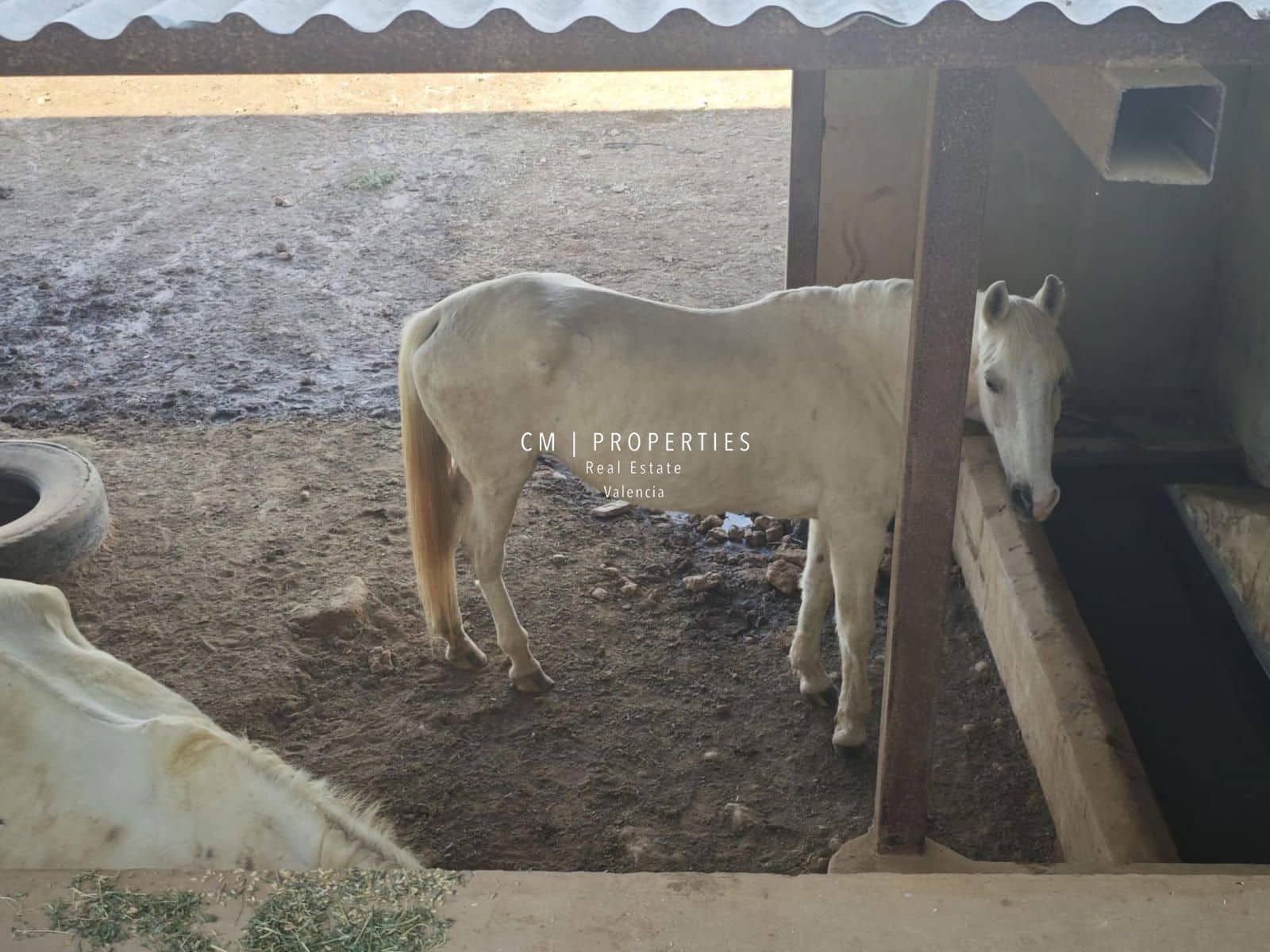 5 quarto Moradia para venda em Picassent com piscina - 800 000 € (Ref: 8738363)