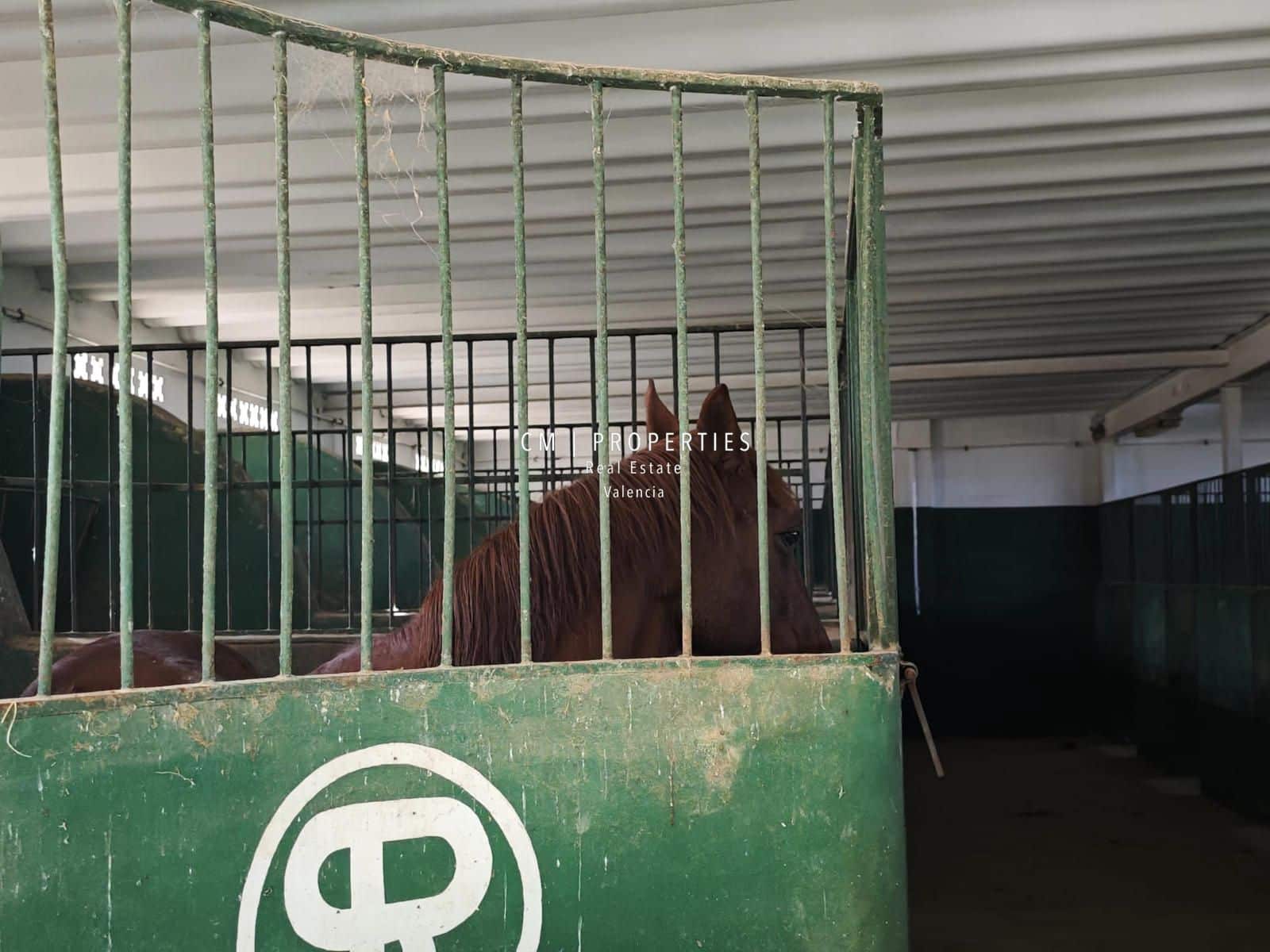 5 quarto Moradia para venda em Picassent com piscina - 800 000 € (Ref: 8738363)