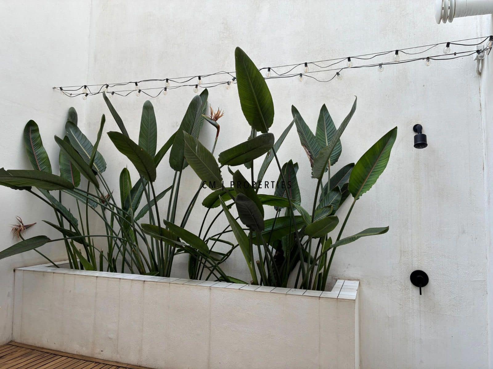3 Zimmer Wohnung zu vermieten in Valencia Stadt - 2.600 € (Ref: 9000240)