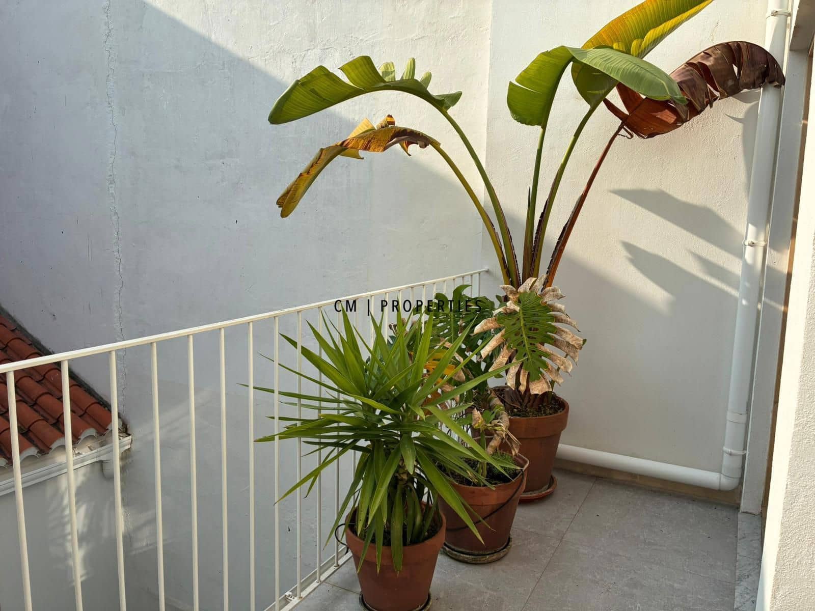 3 Zimmer Wohnung zu vermieten in Valencia Stadt - 2.600 € (Ref: 9000240)