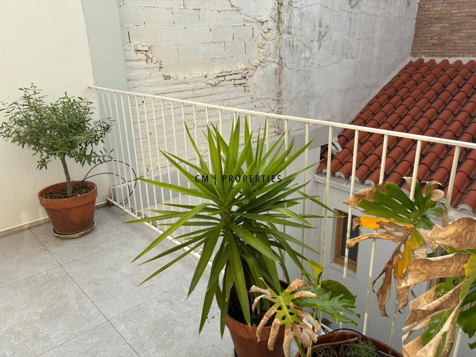 3 Zimmer Wohnung zu vermieten in Valencia Stadt - 2.600 € (Ref: 9000240)