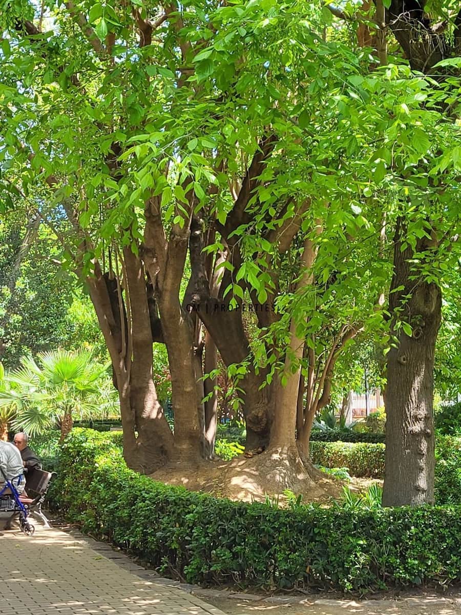 3 sovrum Lägenhet att hyra i Valencia stad - 1 700 € (Ref: 9378388)