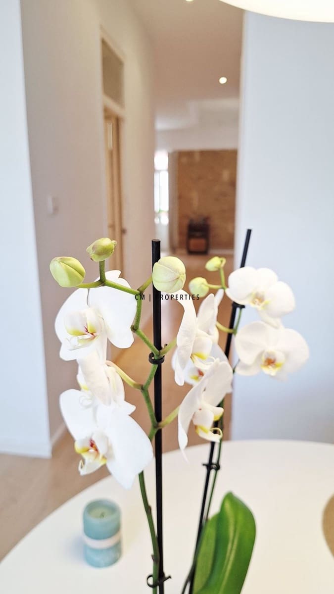 1 Zimmer Wohnung zu vermieten in Valencia Stadt - 1.450 € (Ref: 9830016)