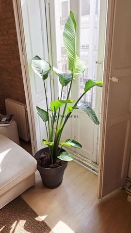 1 Zimmer Wohnung zu vermieten in L'Eixample, València Stadt - 1.450 € (Ref: 9830016)