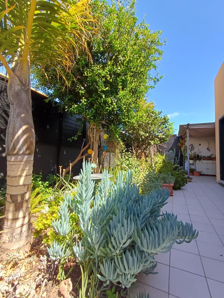 2 bedroom Villa for sale in Corralejo with garage - € 315,000 (Ref: 9837709)