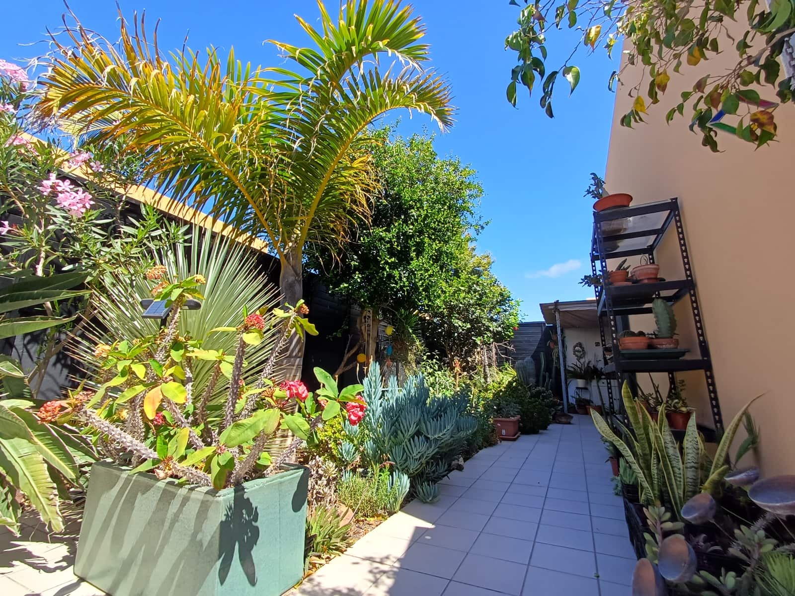 2 bedroom Villa for sale in Corralejo with garage - € 315,000 (Ref: 9837709)