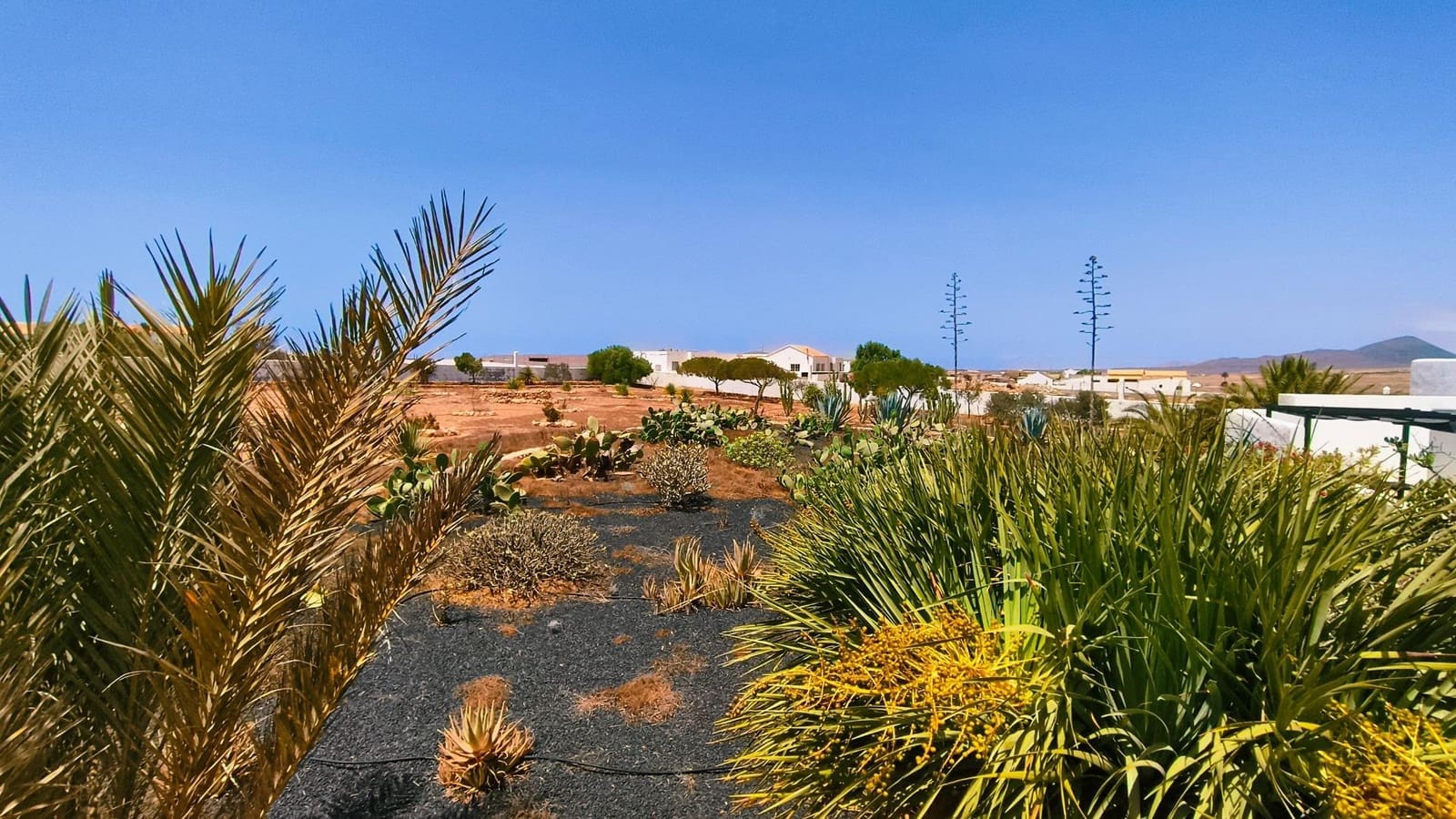 5 sovrum Villa till salu i Puerto del Rosario med pool garage - 590 000 € (Ref: 10022633)