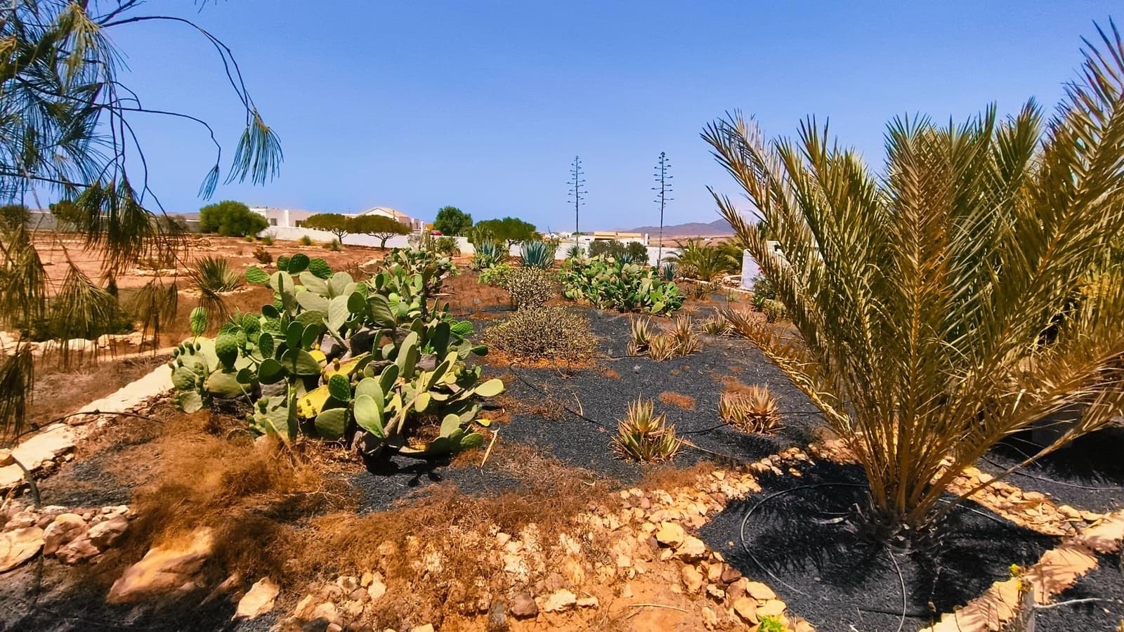 5 sovrum Villa till salu i Puerto del Rosario med pool garage - 590 000 € (Ref: 10022633)