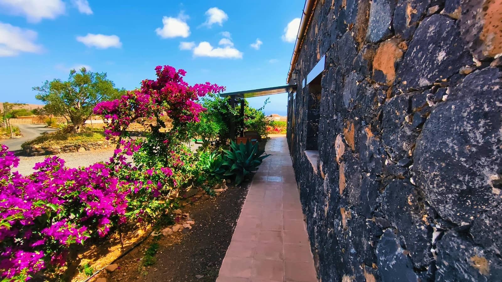 4 sypialnia Willa na sprzedaż w Puerto del Rosario - 1 050 000 € (Ref: 10142580)