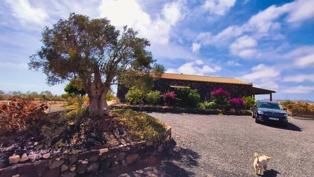 4 sypialnia Willa na sprzedaż w Puerto del Rosario - 1 050 000 € (Ref: 10142580)