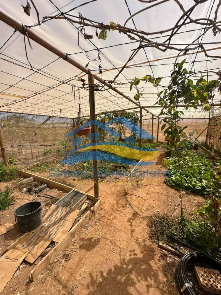 4 soveværelse Finca/Landehus til salg i Tuineje - € 285.000 (Ref: 9215277)