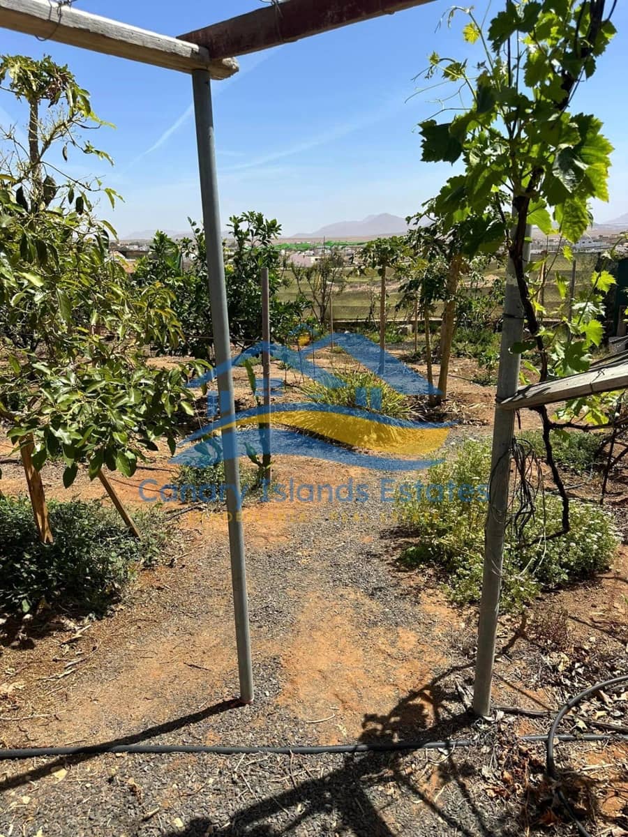 4 soveværelse Finca/Landehus til salg i Tuineje - € 285.000 (Ref: 9215277)