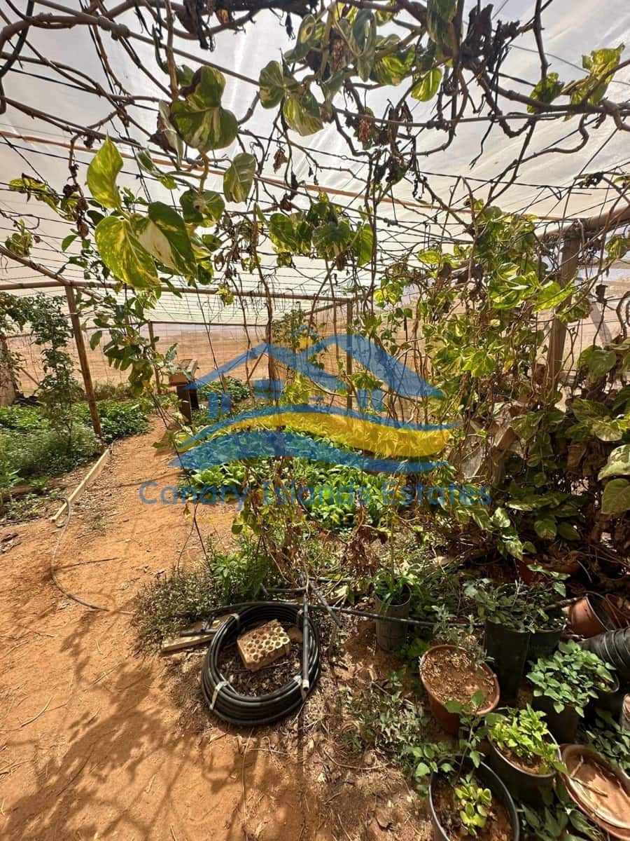 4 soveværelse Finca/Landehus til salg i Tuineje - € 285.000 (Ref: 9215277)