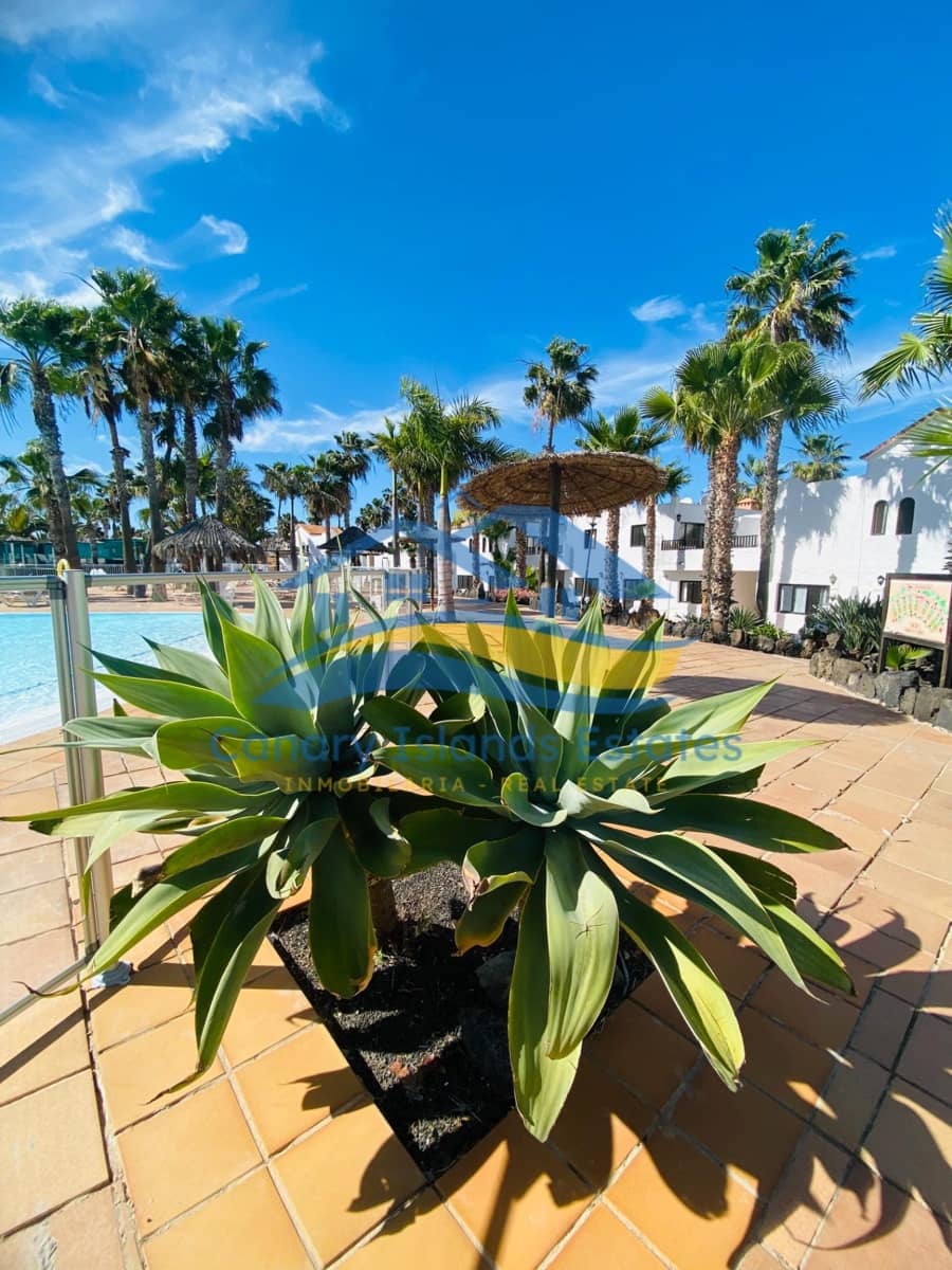 1 slaapkamer Appartement te koop in Corralejo - € 165.000 (Ref: 9215282)