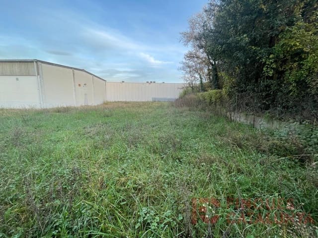 Commercial for rent in Riudellots de la Selva - € 4,000 (Ref: 9433564)