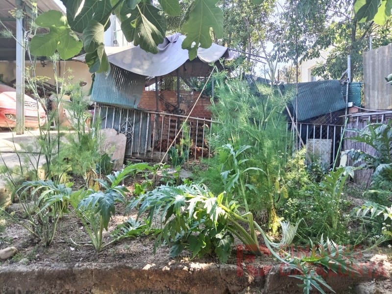 6 soverom Villa til salgs i Vilobi d'Onyar med garasje - € 550 000 (Ref: 9433573)