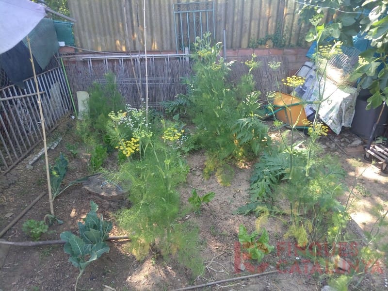 6 soverom Villa til salgs i Vilobi d'Onyar med garasje - € 550 000 (Ref: 9433573)