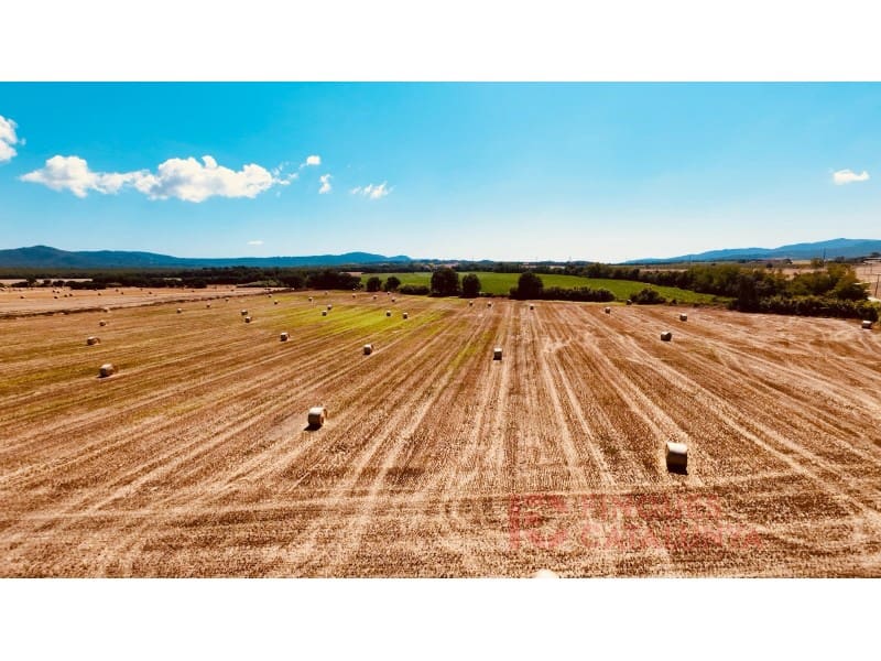 Finca/Country House for sale in Llagostera - € 1,325,000 (Ref: 9433582)