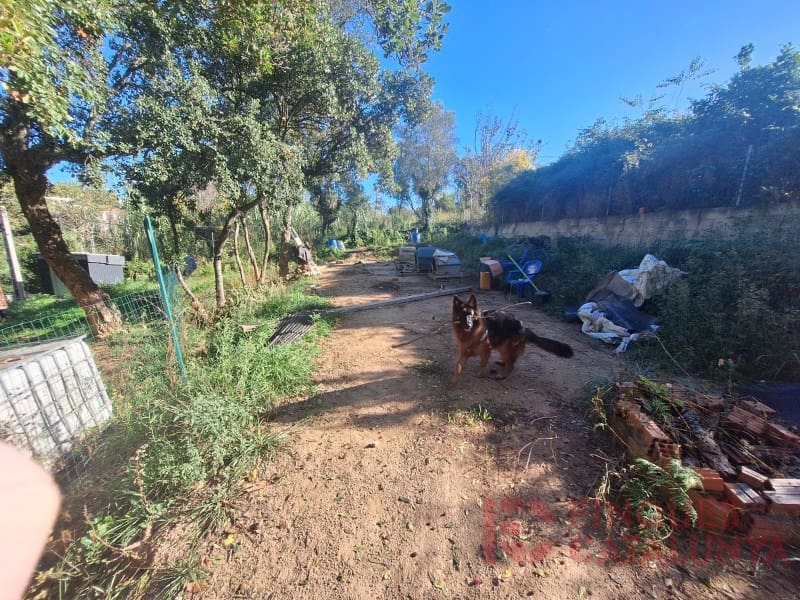 Building Plot for sale in Riudarenes - € 118,000 (Ref: 9433592)