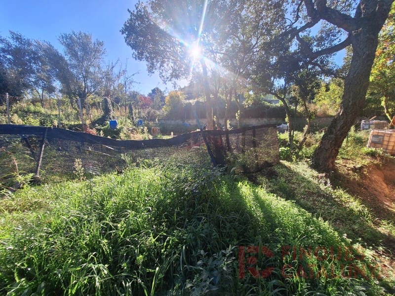 Building Plot for sale in Riudarenes - € 118,000 (Ref: 9433592)