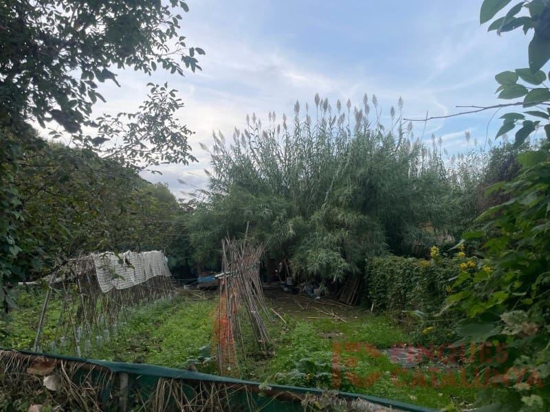 Grunde uden byggetilladelser til salg i Salt - € 37.000 (Ref: 9483542)