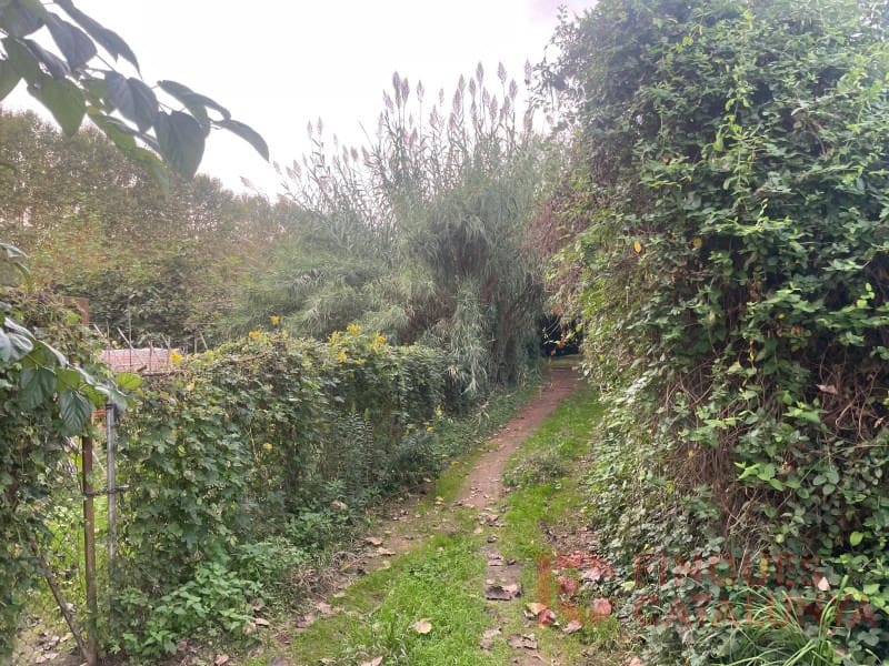 Grunde uden byggetilladelser til salg i Salt - € 37.000 (Ref: 9483542)