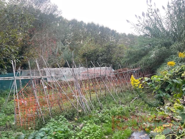 Grunde uden byggetilladelser til salg i Salt - € 37.000 (Ref: 9483542)