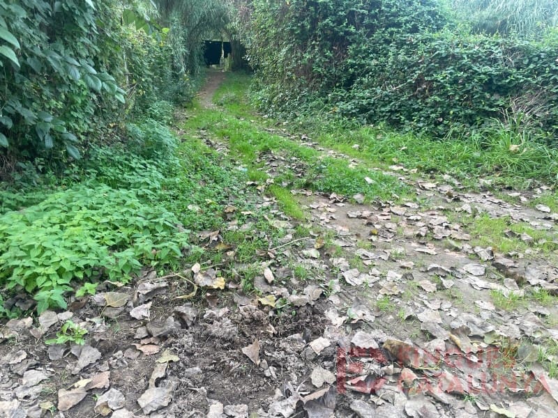 Grunde uden byggetilladelser til salg i Salt - € 37.000 (Ref: 9483542)