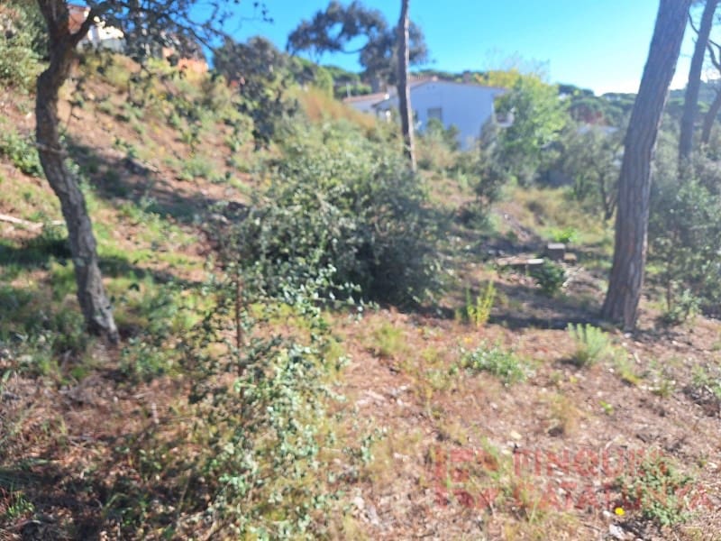 Tontti myytävänä paikassa Vidreres - 29 000 € (Ref: 9516251)