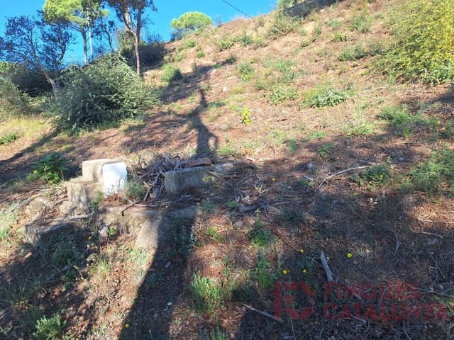 Tontti myytävänä paikassa Terrafortuna, Vidreres - 29 000 € (Ref: 9516251)