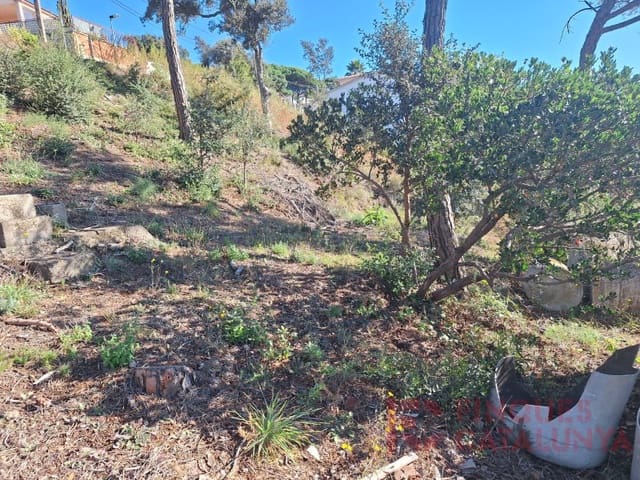 Tontti myytävänä paikassa Terrafortuna, Vidreres - 29 000 € (Ref: 9516251)