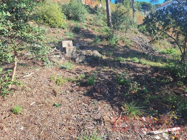 Tontti myytävänä paikassa Terrafortuna, Vidreres - 29 000 € (Ref: 9516251)