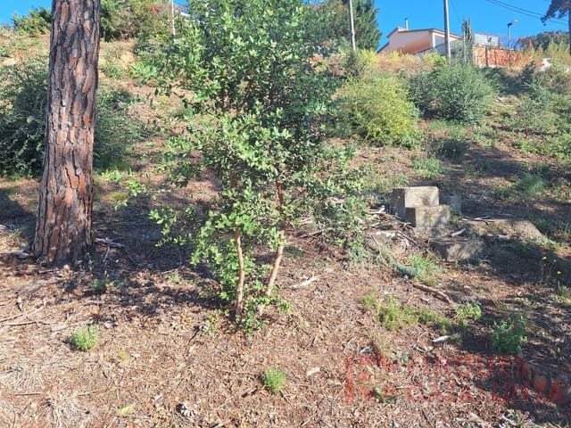 Tontti myytävänä paikassa Terrafortuna, Vidreres - 29 000 € (Ref: 9516251)