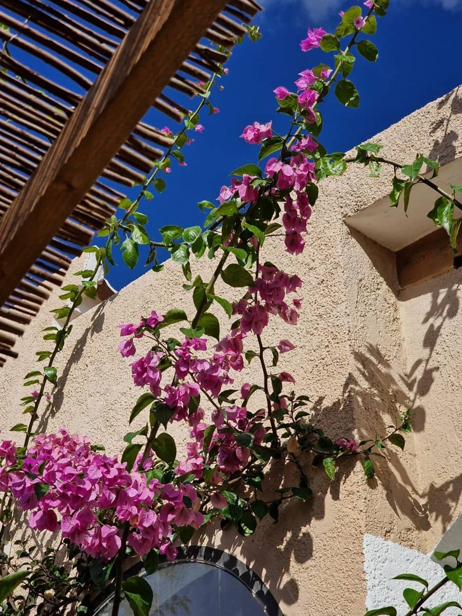 2 sovrum Lägenhet att hyra i Cumbre del Sol - 1 250 € (Ref: 10044212)