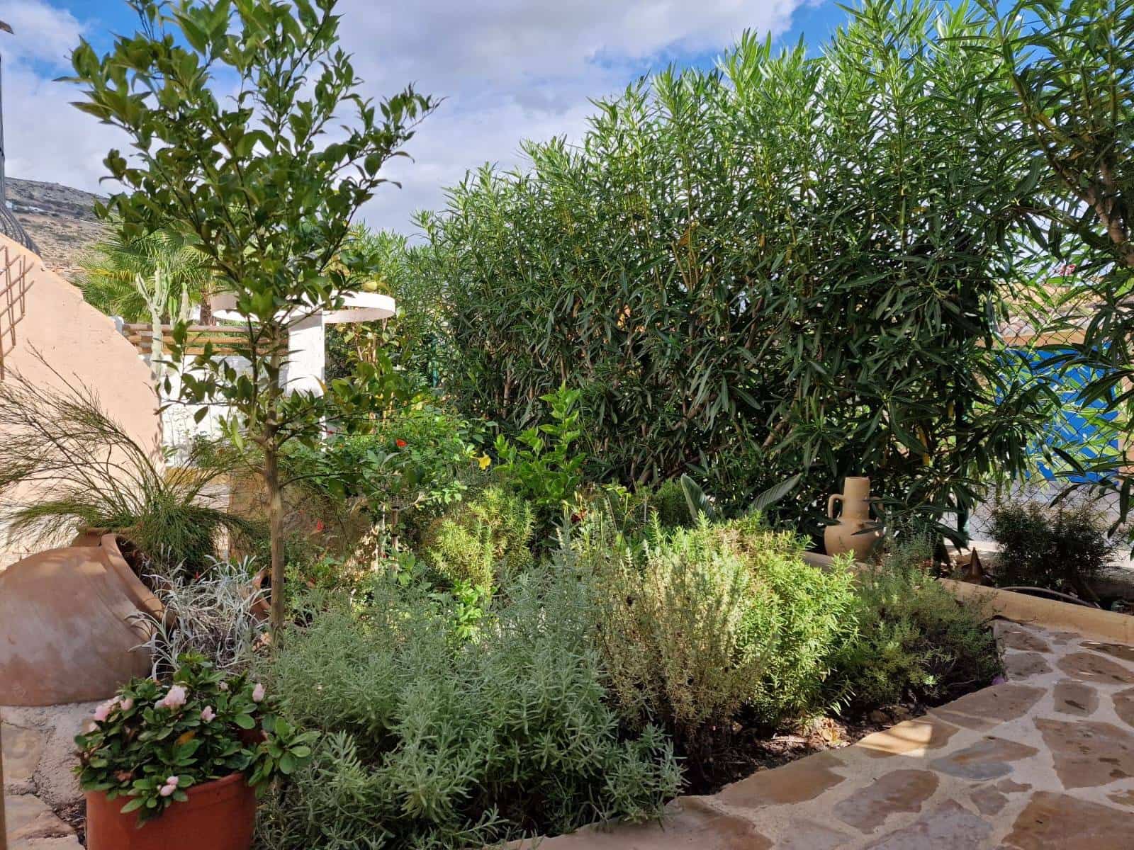 2 sovrum Lägenhet att hyra i Cumbre del Sol - 1 250 € (Ref: 10044212)