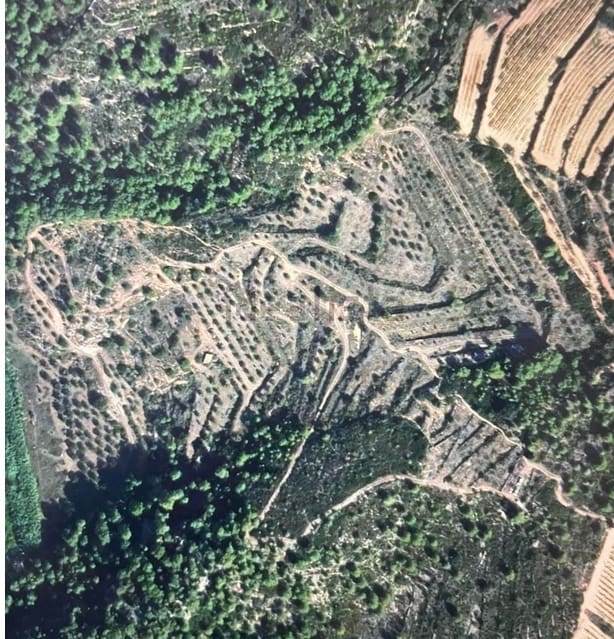 Undeveloped Land for sale in Salomo - € 85,000 (Ref: 8339103)