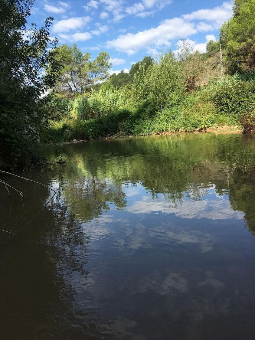 Undeveloped Land for sale in Salomo - € 85,000 (Ref: 8339103)