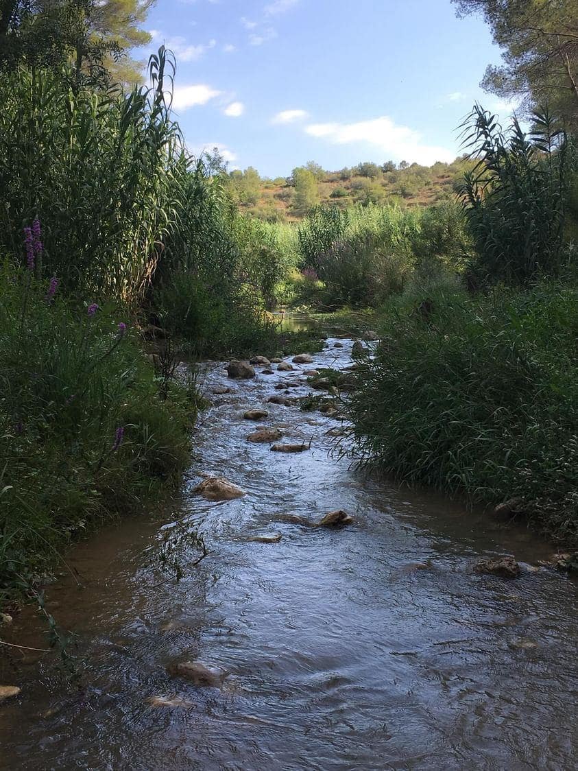 Undeveloped Land for sale in Salomo - € 85,000 (Ref: 8339103)