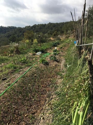 Undeveloped Land for sale in Salomó - € 85,000 (Ref: 8339103)