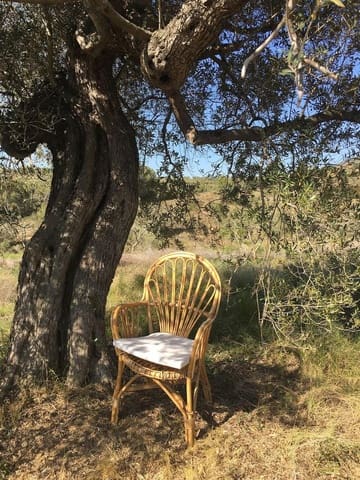 Undeveloped Land for sale in Salomó - € 85,000 (Ref: 8339103)